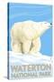 Waterton National Park, Canada - Polar Bear-Lantern Press-Stretched Canvas