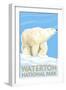 Waterton National Park, Canada - Polar Bear-Lantern Press-Framed Art Print