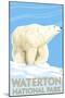 Waterton National Park, Canada - Polar Bear-Lantern Press-Mounted Art Print