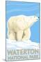Waterton National Park, Canada - Polar Bear-Lantern Press-Mounted Art Print