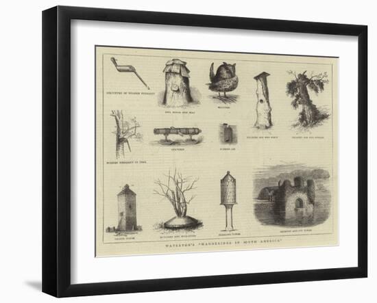 Waterton's Wanderings in South America-null-Framed Giclee Print