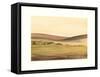 Waterville Fields-Sammy Sheler-Framed Stretched Canvas