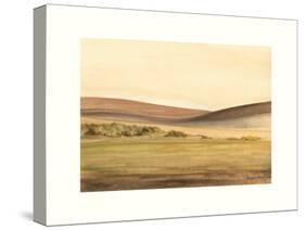 Waterville Fields-Sammy Sheler-Stretched Canvas