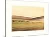 Waterville Fields-Sammy Sheler-Stretched Canvas