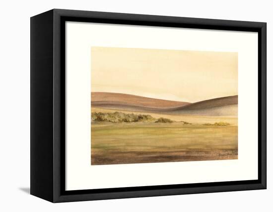 Waterville Fields-Sammy Sheler-Framed Stretched Canvas