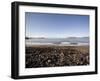 Waterville Sea Front, Waterville, County Kerry, Munster, Republic of Ireland, Europe-Oliviero Olivieri-Framed Photographic Print