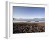 Waterville Sea Front, Waterville, County Kerry, Munster, Republic of Ireland, Europe-Oliviero Olivieri-Framed Photographic Print