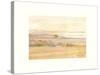 Waterville Wheat Fields-Sammy Sheler-Stretched Canvas