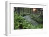 Waterviolet / featherfoil at sunset, Groot Schietveld, Wuustwezel, Belgium-Bernard Castelein-Framed Photographic Print