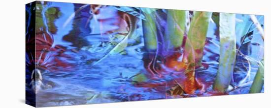 Waterway Prism-Suzanne Silk-Stretched Canvas