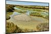 Waterways and cracked mud in the salt marshes of the island's west, near Le Griveau, Ars en Re, Ile-Robert Francis-Mounted Photographic Print