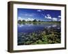 Waterways in Pantanal, Brazil-Darrell Gulin-Framed Premium Photographic Print