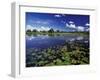 Waterways in Pantanal, Brazil-Darrell Gulin-Framed Premium Photographic Print