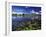 Waterways in Pantanal, Brazil-Darrell Gulin-Framed Premium Photographic Print