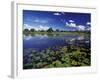 Waterways in Pantanal, Brazil-Darrell Gulin-Framed Photographic Print