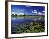 Waterways in Pantanal, Brazil-Darrell Gulin-Framed Photographic Print