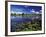 Waterways in Pantanal, Brazil-Darrell Gulin-Framed Photographic Print