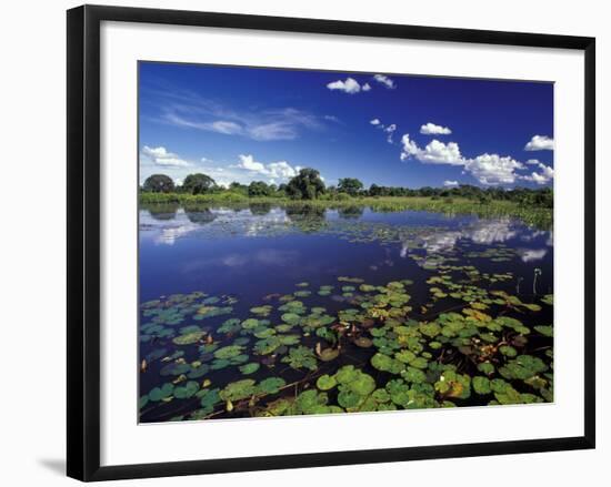 Waterways in Pantanal, Brazil-Darrell Gulin-Framed Photographic Print