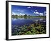 Waterways in Pantanal, Brazil-Darrell Gulin-Framed Photographic Print