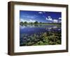 Waterways in Pantanal, Brazil-Darrell Gulin-Framed Photographic Print