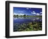 Waterways in Pantanal, Brazil-Darrell Gulin-Framed Photographic Print