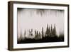 Waterwood-Nathan Larson-Framed Photographic Print