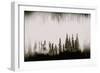 Waterwood-Nathan Larson-Framed Photographic Print