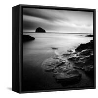 Waterwright-Craig Roberts-Framed Stretched Canvas