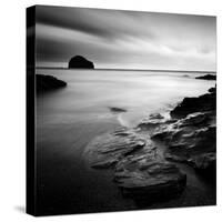 Waterwright-Craig Roberts-Stretched Canvas