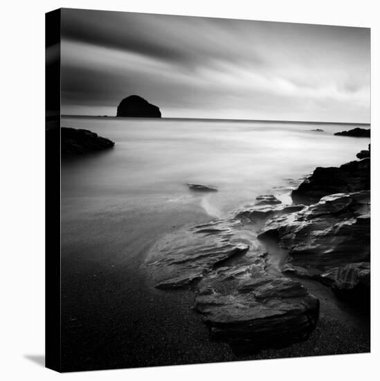 Waterwright-Craig Roberts-Stretched Canvas