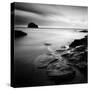 Waterwright-Craig Roberts-Stretched Canvas