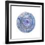 Watery Blue Mandala 2-Lora Gold-Framed Giclee Print