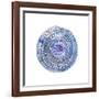 Watery Blue Mandala 2-Lora Gold-Framed Giclee Print