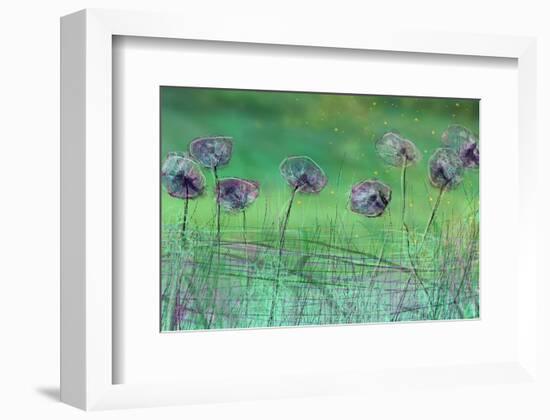 Watery Flower show-Claire Westwood-Framed Art Print