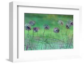 Watery Flower show-Claire Westwood-Framed Art Print