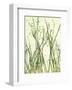 Watery Grasses 1-Jenny Kraft-Framed Art Print