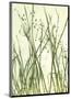 Watery Grasses 1-Jenny Kraft-Mounted Art Print