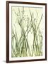 Watery Grasses 1-Jenny Kraft-Framed Art Print