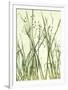 Watery Grasses 1-Jenny Kraft-Framed Art Print