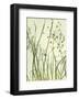 Watery Grasses 2-Jenny Kraft-Framed Art Print