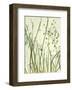 Watery Grasses 2-Jenny Kraft-Framed Art Print