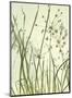 Watery Grasses 2-Jenny Kraft-Mounted Art Print