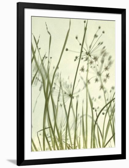 Watery Grasses 2-Jenny Kraft-Framed Art Print