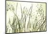 Watery Grasses 3-Jenny Kraft-Mounted Art Print