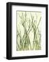 Watery Grasses I-Jenny Kraft-Framed Giclee Print