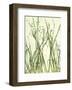 Watery Grasses I-Jenny Kraft-Framed Giclee Print