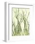 Watery Grasses I-Jenny Kraft-Framed Giclee Print