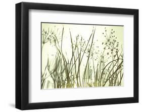 Watery Grasses III-Jenny Kraft-Framed Giclee Print