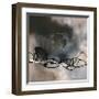 Watery Hollow II-Laurie Maitland-Framed Giclee Print