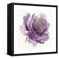 Watery Plum Bloom 1-Sandra Smith-Framed Stretched Canvas